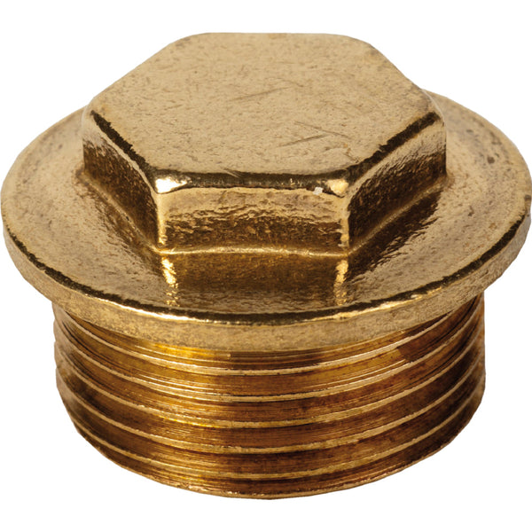 South Coast Brass - 1\" Blanking Plug 074