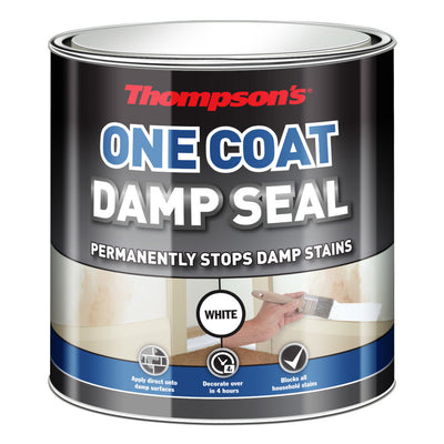 Thompson's One Coat Damp Seal 2.5L